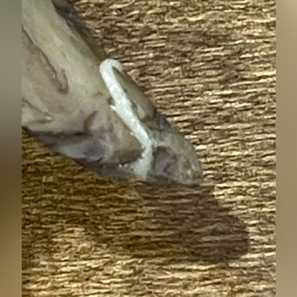 Hummingbird decor - Picture 10 of 10